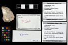 Foto (Objekt + Etikett) von Pithonoton sp.  (NHMW-GEO-2014-0194-0250)